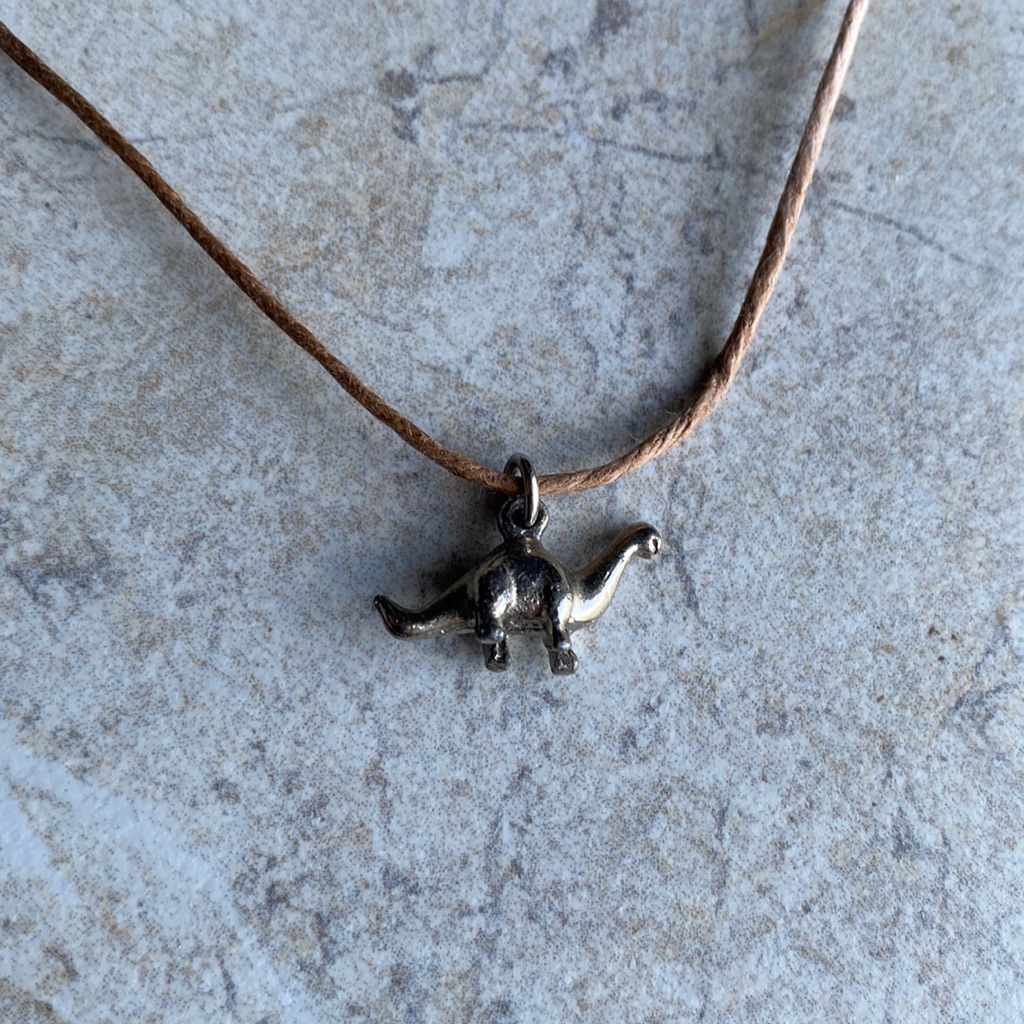 Silver Dinosaur Brown Ombr Hemp Cord Choker 18$